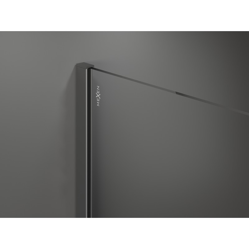 Mexen Kioto Walk-in Shower Wall 120 x 105 cm, Transparent, Gun Metal - 800-120-202-95-00-105