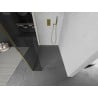 Mexen Kioto Walk-in Shower Wall 125 x 30 cm, Transparent, Gold - 800-125-212-50-00-030