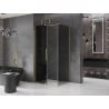 Mexen Velar sliding shower enclosure 120 x 90 cm, graphite, brushed gold - 871-120-090-41-55