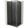 Mexen Velar Duo sliding shower cabin 100 x 90 cm, graphite, gold - 871-100-090-42-50