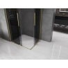 Mexen Velar Duo sliding shower enclosure 100 x 90 cm, graphite, brushed gold - 871-100-090-42-55