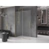 Mexen Velar Walk-in Shower Wall 160 x 200 cm, Frosted 8 mm, Gold - 871-160-000-33-50