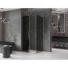 Mexen Velar L sliding shower cabin 110 x 75 cm, graphite, gold - 871-110-075-43-50