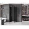 Mexen Velar L sliding shower enclosure 120 x 120 cm, graphite, brushed nickel - 871-120-120-43-97