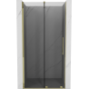 Mexen Velar sliding shower door 100 cm, graphite, gold - 871-100-000-41-50