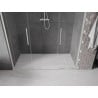 Mexen Velar L Duo sliding shower doors 200 cm, transparent, brushed nickel - 871-200-003-02-97