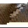 Mexen Orange Beach vinyl panel sample 1240 x 182 mm SPC 6.5 mm, IXPE underlay 1.5 mm, 4 V-groove, Walnut - F1028-S