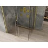 Mexen Omega extendable shower cubicle 120 x 90 cm, Transparent, Gold - 825-120-090-50-00