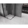 Mexen Velar L Duo sliding shower cabin 100 x 100 cm, transparent, black - 871-100-100-02-03-70