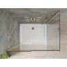Mexen Omega extendable shower cubicle 120 x 100 cm, Transparent, Gold + shower tray Flat - 825-120-100-50-00-4010