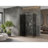 Mexen Omega Sliding Shower Enclosure 160 x 80 cm, Graphite, Chrome - 825-160-080-01-40