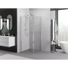 Mexen Exo-B Duo pivot shower enclosure 100 x 100 cm, transparent, chrome - 814-100-100-01-00