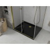 Mexen Lima folding shower cabin 100 x 80 cm, transparent, gold + Flat tray, black - 856-100-080-50-00-4070G