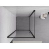 Mexen Exo-BR pivot shower cabin 70 x 70 cm, transparent, black - 8181-070-070-70-00
