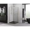 Mexen Exo Square Hinged Shower Cabin 70 x 70 cm, Transparent, Gold - 8110-070-070-50-00