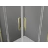 Mexen Exo Square Hinged Shower Cabin 70 x 70 cm, Transparent, Gold - 8110-070-070-50-00