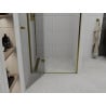 Mexen Roma hinged shower door 100 cm, transparent, gold - 854-100-000-50-00