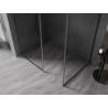 Mexen Kioto-F Walk-in Shower Wall with Frame 155 x 100 cm, Transparent 8 mm, Gun Metal - 800-155-202-04-95-100