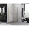 Mexen Exo-B Duo pivot shower cabin 70 x 70 cm, transparent, gold - 814-070-070-50-00