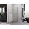 Mexen Exo Hinged Shower Enclosure 100 x 100 cm, Transparent, Gold - 814-100-100-50-00