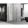 Mexen Exo Hinged Shower Enclosure 100 x 100 cm, Transparent, Gold - 814-100-100-50-00
