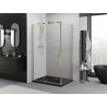 Mexen Exo-R hinged shower enclosure 125 x 100 cm, transparent, gold - 819-125-100-50-00