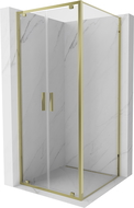 Mexen Exo Hinged Shower Enclosure 100 x 100 cm, Transparent, Gold - 8182-100-100-50-00