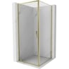 Mexen Exo Shower Enclosure Hinged 70 x 70 cm, Transparent, Gold - 8181-070-070-50-00