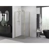 Mexen Exo Shower Enclosure Hinged 70 x 70 cm, Transparent, Gold - 8181-070-070-50-00