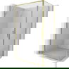 Mexen Exo shower enclosure hinged 100 x 70 cm, transparent, gold - 8181-100-070-50-00
