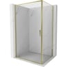 Mexen Exo Hinged Shower Enclosure 70 x 75 cm, Transparent, Gold - 8181-070-075-50-00