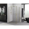 Mexen Exo-BR hinged shower enclosure 70 x 85 cm, transparent, gold - 8181-070-085-50-00