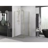 Mexen Exo hinged shower cabin 100 x 100 cm, transparent, gold - 8181-100-100-50-00
