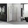 Mexen Exo-B hinged shower cabin 80 x 80 cm, transparent, gold - 817-080-080-50-00