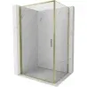 Mexen Exo pivot shower enclosure 100 x 80 cm, transparent, gold - 817-100-080-50-00