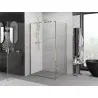 Mexen Exo pivot shower enclosure 100 x 80 cm, transparent, gold - 817-100-080-50-00