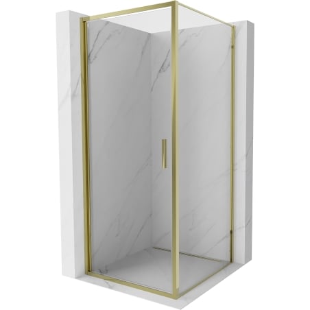 Mexen Exo hinged shower cabin 100 x 100 cm, transparent, gold - 817-100-100-50-00