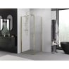 Mexen Exo hinged shower cabin 100 x 100 cm, transparent, gold - 817-100-100-50-00
