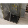 Mexen Omega extendable shower cubicle 120 x 90 cm, Transparent, Gold + shower tray Flat, Black - 825-120-090-50-00-4070G