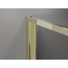 Mexen Exo folding shower cabin 75 x 75 cm, transparent, gold - 816-075-075-50-00