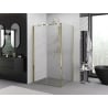 Mexen Exo 100 x 85 cm Folding Shower Enclosure, Transparent, Gold - 816-100-085-50-00