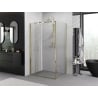 Mexen Exo 95 x 90 cm foldable shower enclosure, transparent, gold - 816-095-090-50-00