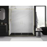 Mexen Exo-S Duo double sliding shower door 170 cm, transparent, gold - 8152-170-000-50-00
