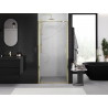 Mexen Exo-BR 60 cm Pivot Shower Door, Transparent, Gold - 8181-060-000-50-00