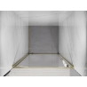 Mexen Exo-BR 60 cm Pivot Shower Door, Transparent, Gold - 8181-060-000-50-00