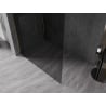 Mexen Kioto-X Walk-in Shower Wall 100 x 200 cm, Graphite 10 mm, Gold - 800-100-101-50-40-X