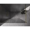 Mexen Kioto-X Walk-in Shower Wall 100 x 200 cm, Graphite 10 mm, Gold - 800-100-101-50-40-X