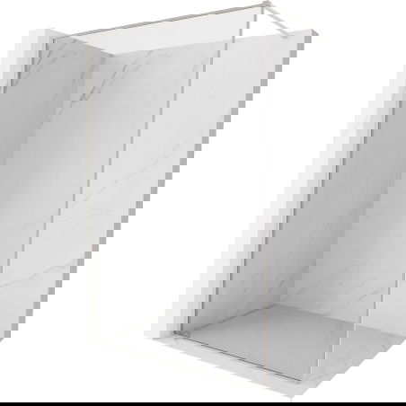 Mexen Kioto-XF Walk-in Shower Screen with Frame 160 x 202 cm, Transparent 10 mm, Brushed Nickel - 800-160-104-97-00-X