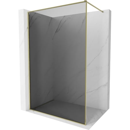 Mexen Kioto-XF Walk-in Shower Screen with Frame 120 x 202 cm, Graphite 10 mm, Gold - 800-120-104-50-40-X