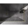 Mexen Kioto-XF Walk-in Shower Wall with Frame 160 x 202 cm, Graphite 10 mm, Gold - 800-160-104-50-40-X